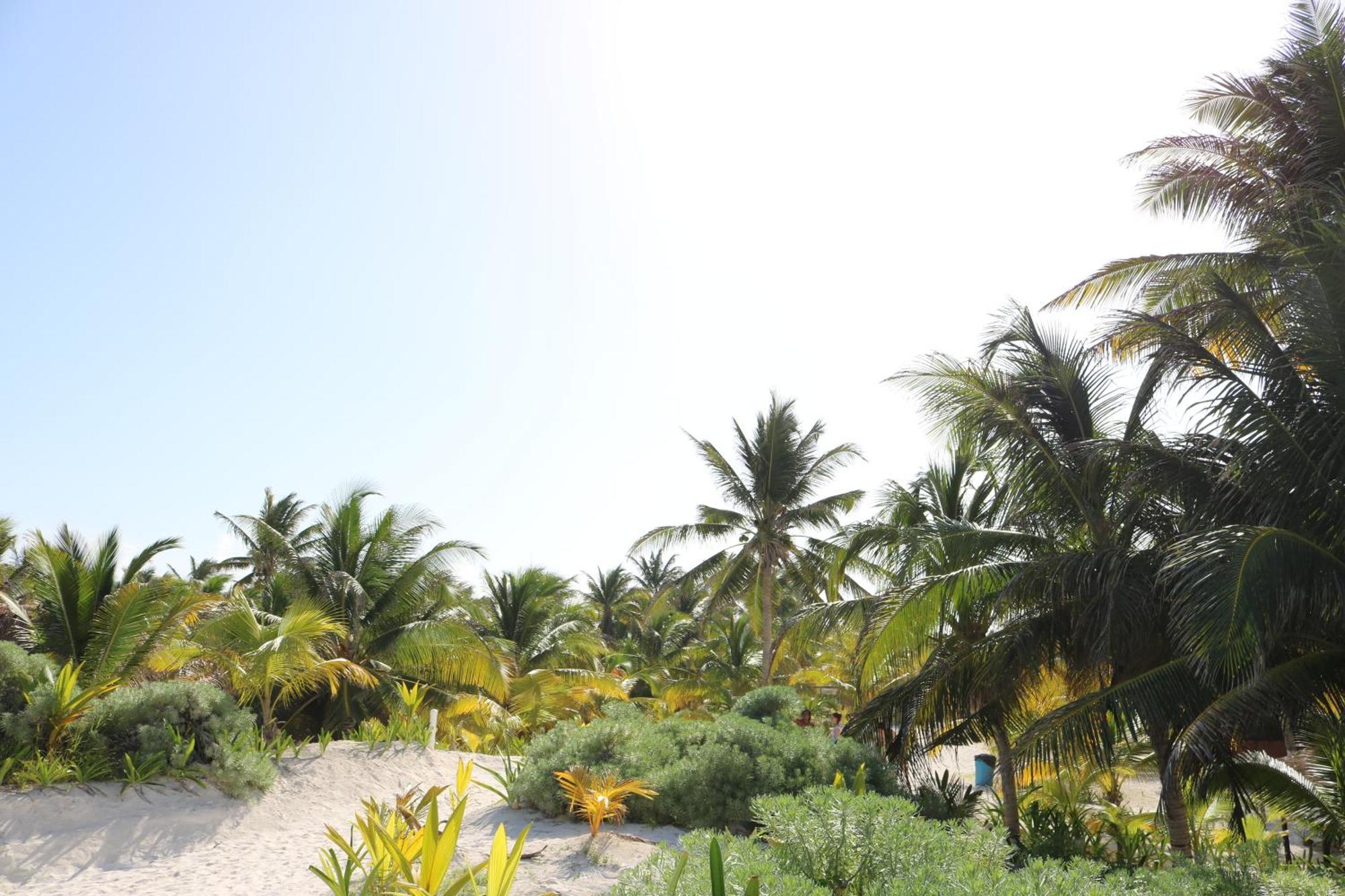 Hotel & Cabanas Zazil Kin Tulum Kültér fotó